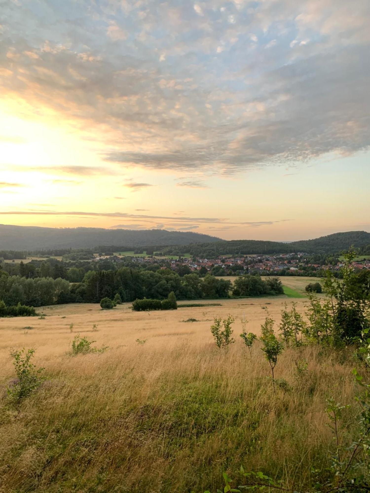 Wolfs-Blick Villa Langelsheim Dış mekan fotoğraf